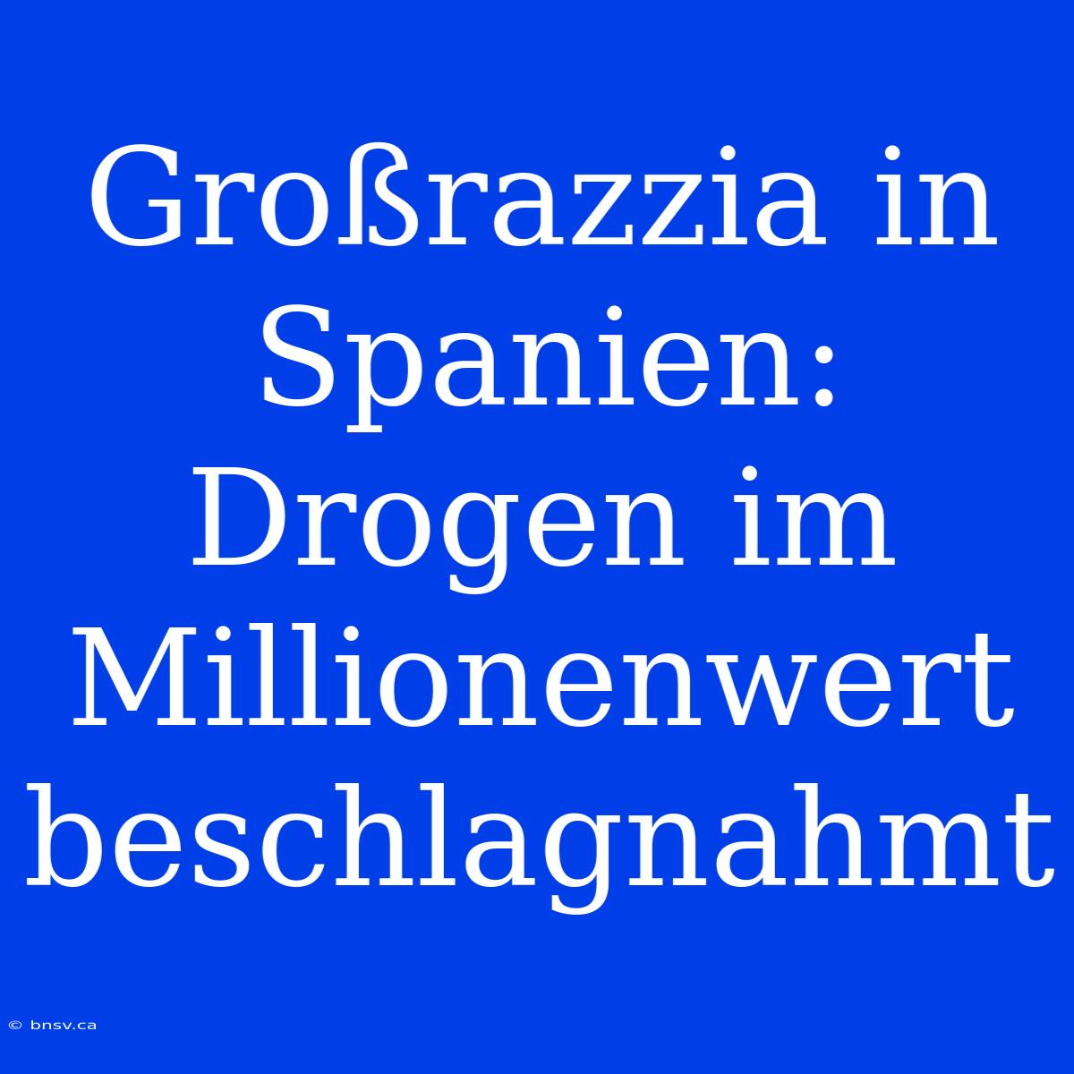 Großrazzia In Spanien: Drogen Im Millionenwert Beschlagnahmt