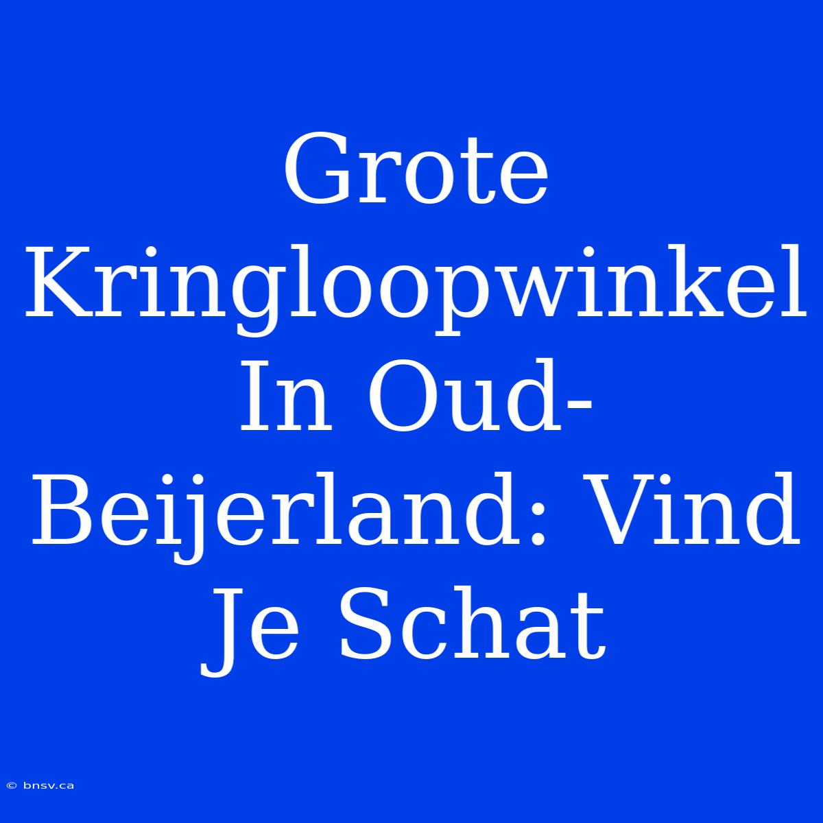 Grote Kringloopwinkel In Oud-Beijerland: Vind Je Schat