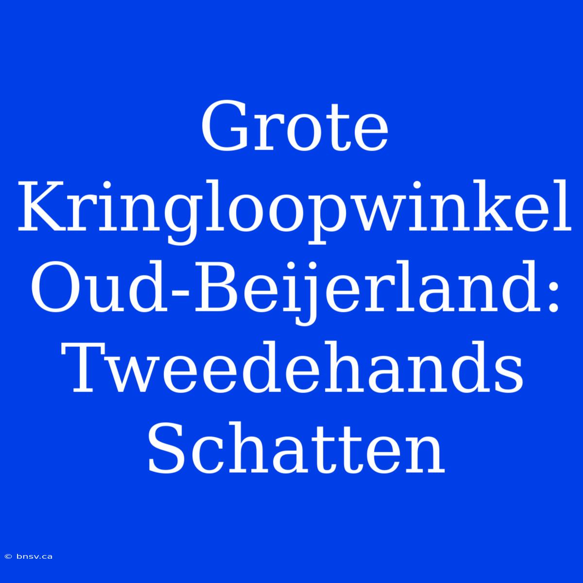 Grote Kringloopwinkel Oud-Beijerland: Tweedehands Schatten