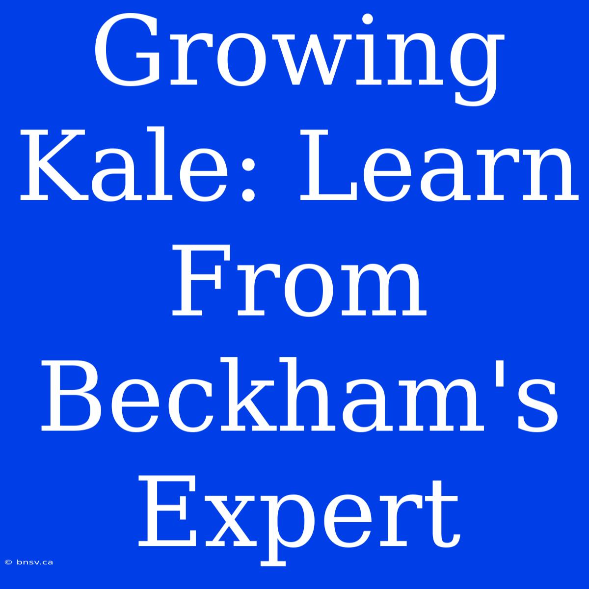 Growing Kale: Learn From Beckham's Expert