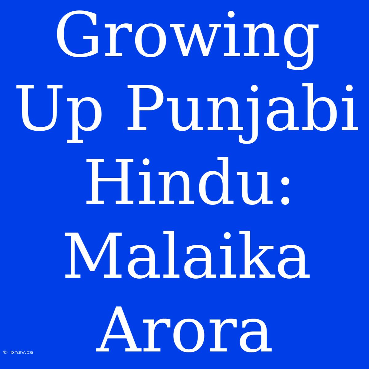 Growing Up Punjabi Hindu: Malaika Arora