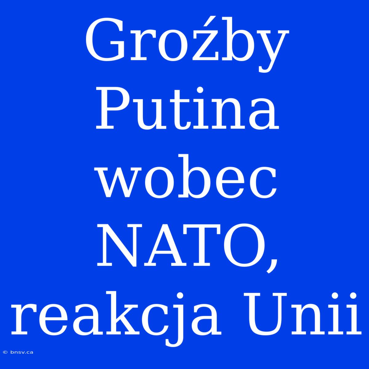 Groźby Putina Wobec NATO, Reakcja Unii