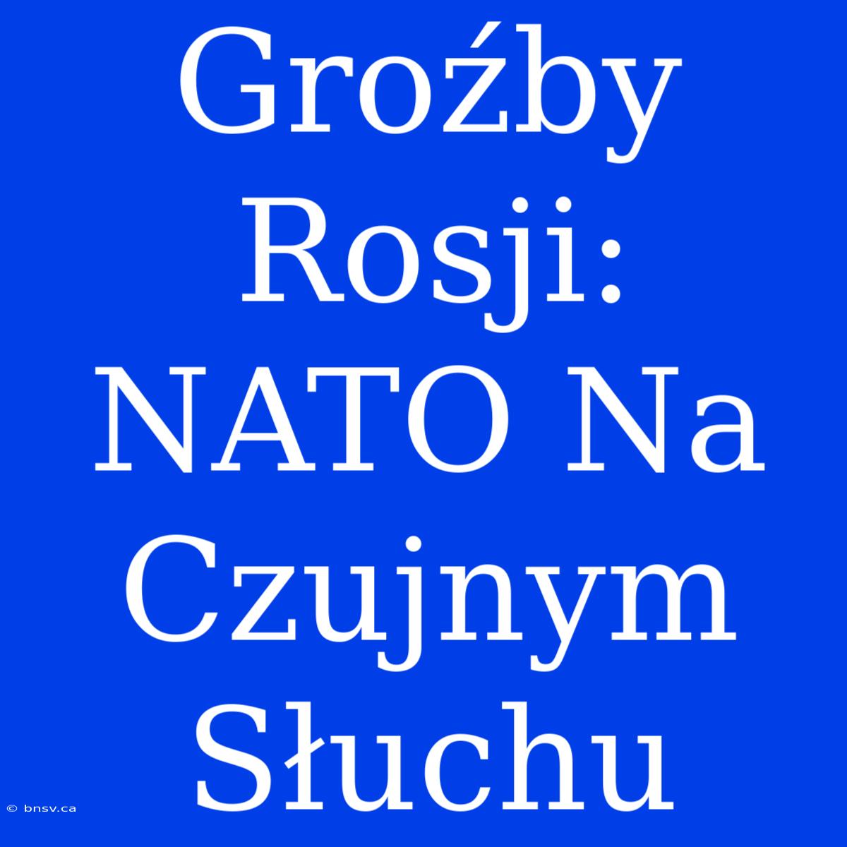 Groźby Rosji: NATO Na Czujnym Słuchu