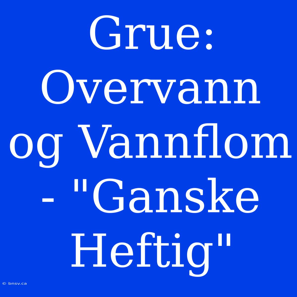 Grue: Overvann Og Vannflom - 