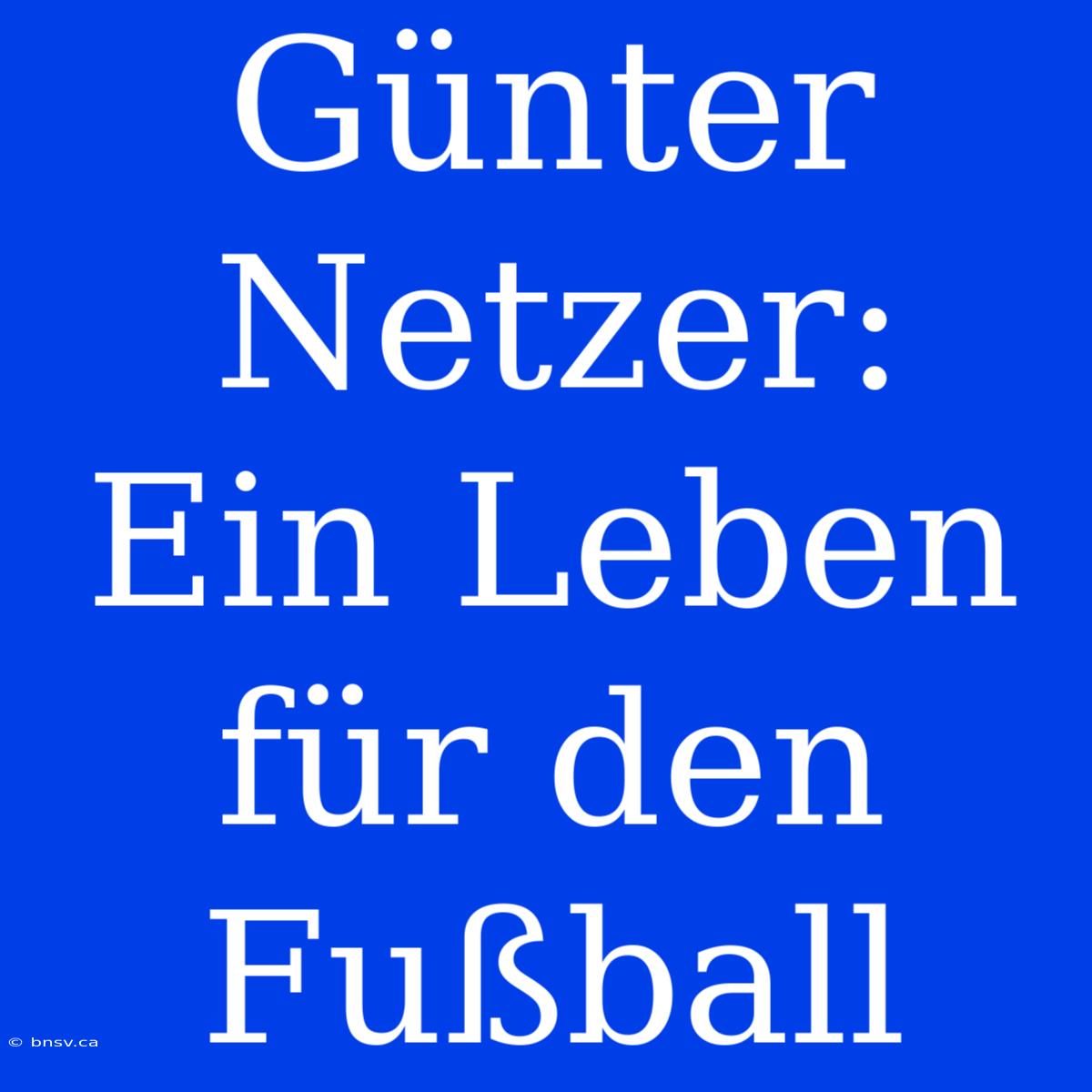 Günter Netzer: Ein Leben Für Den Fußball