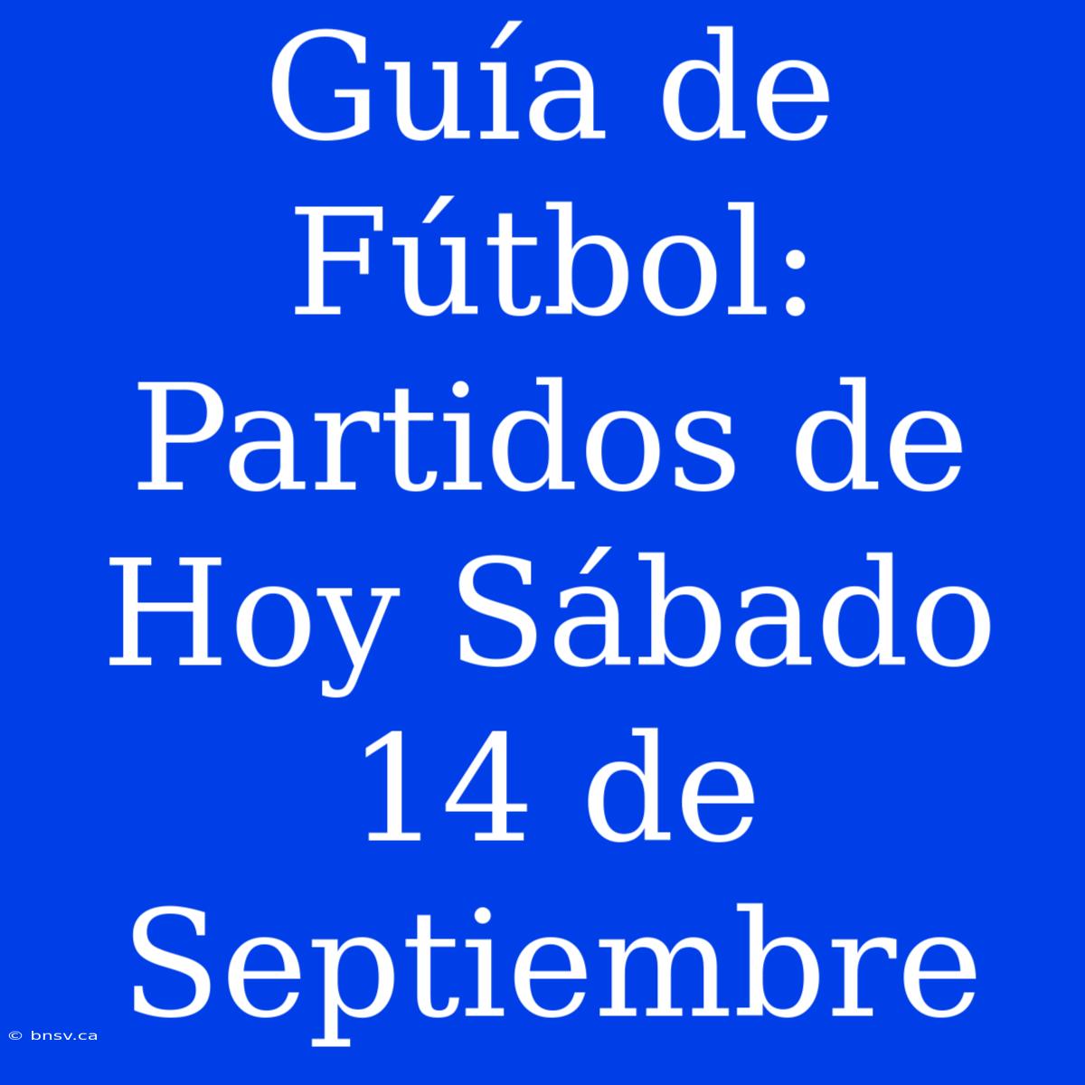 Guía De Fútbol: Partidos De Hoy Sábado 14 De Septiembre