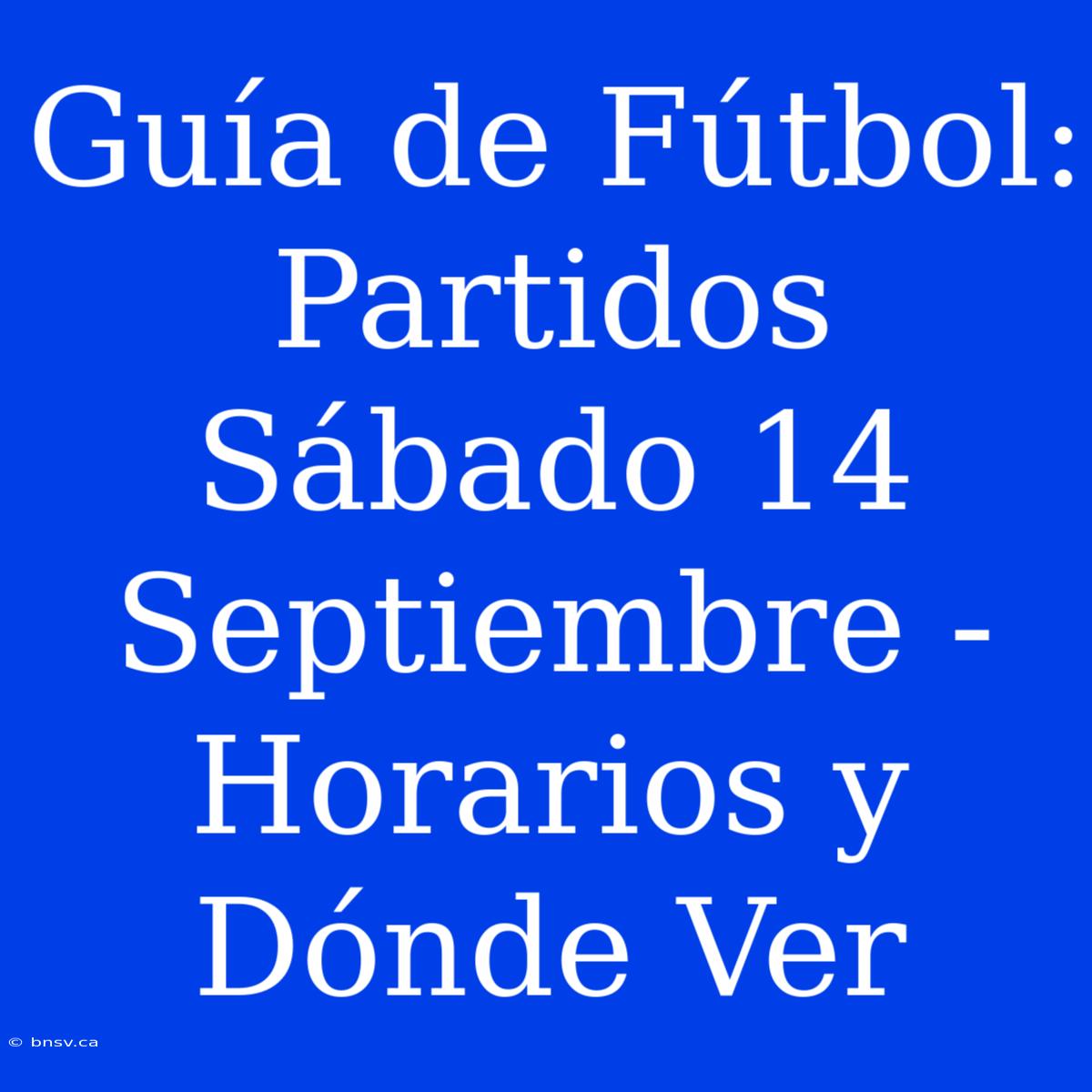 Guía De Fútbol: Partidos Sábado 14 Septiembre - Horarios Y Dónde Ver