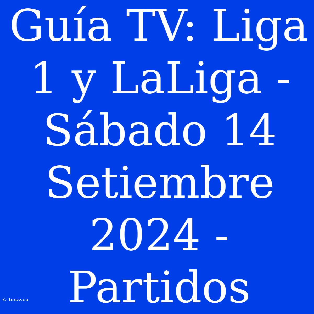 Guía TV: Liga 1 Y LaLiga - Sábado 14 Setiembre 2024 - Partidos