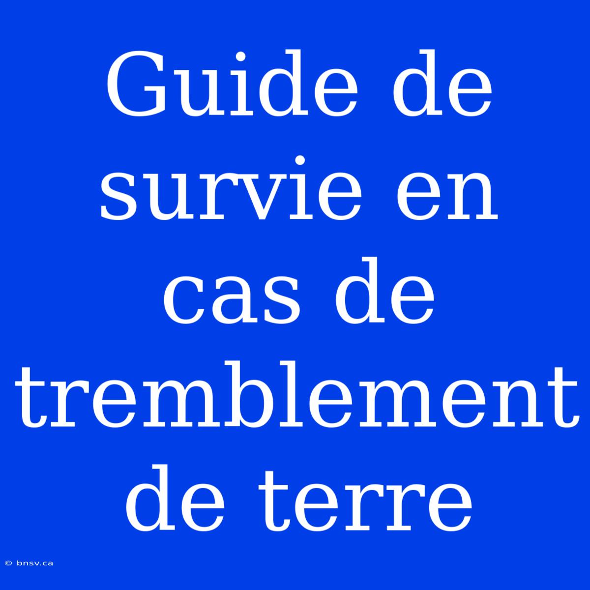 Guide De Survie En Cas De Tremblement De Terre