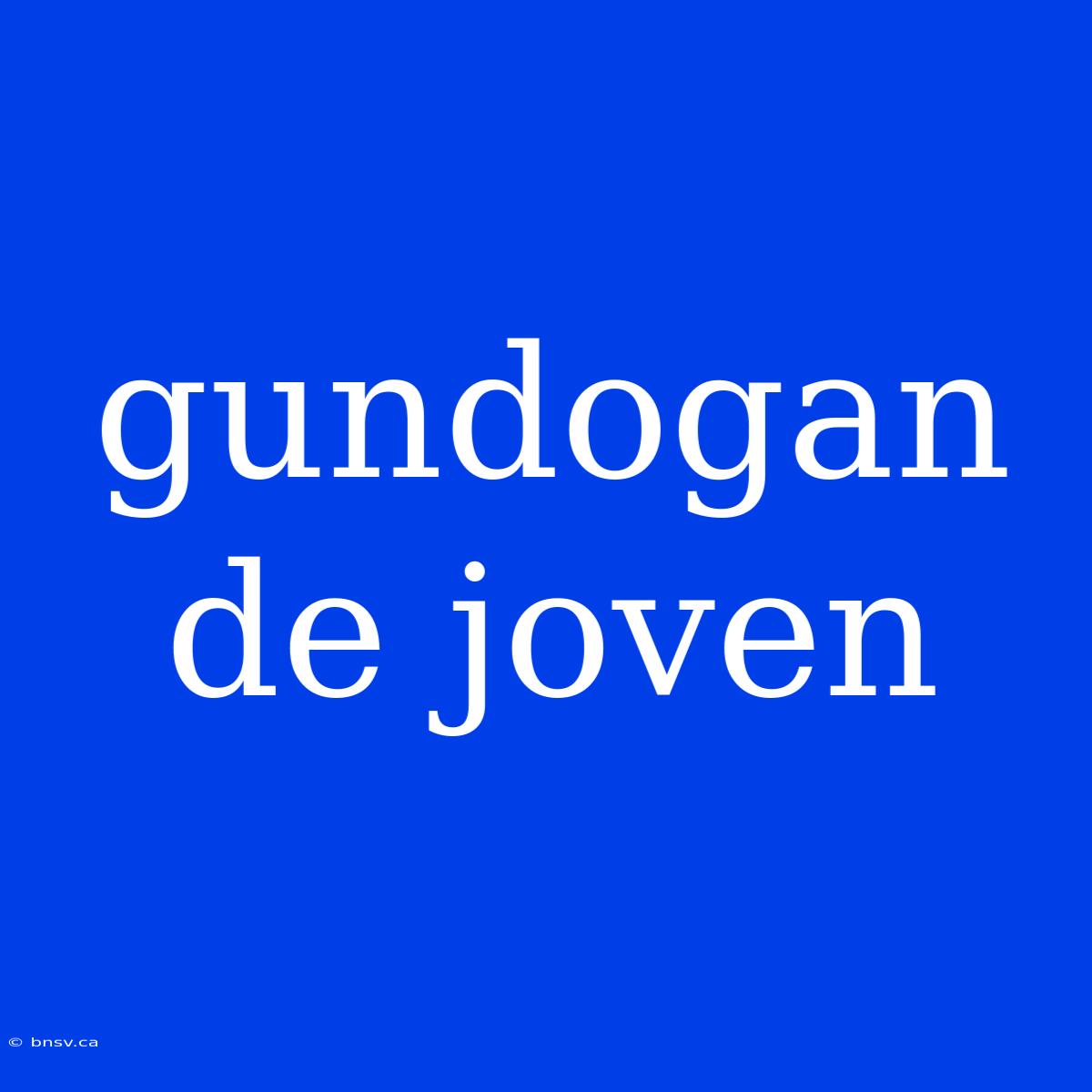 Gundogan De Joven