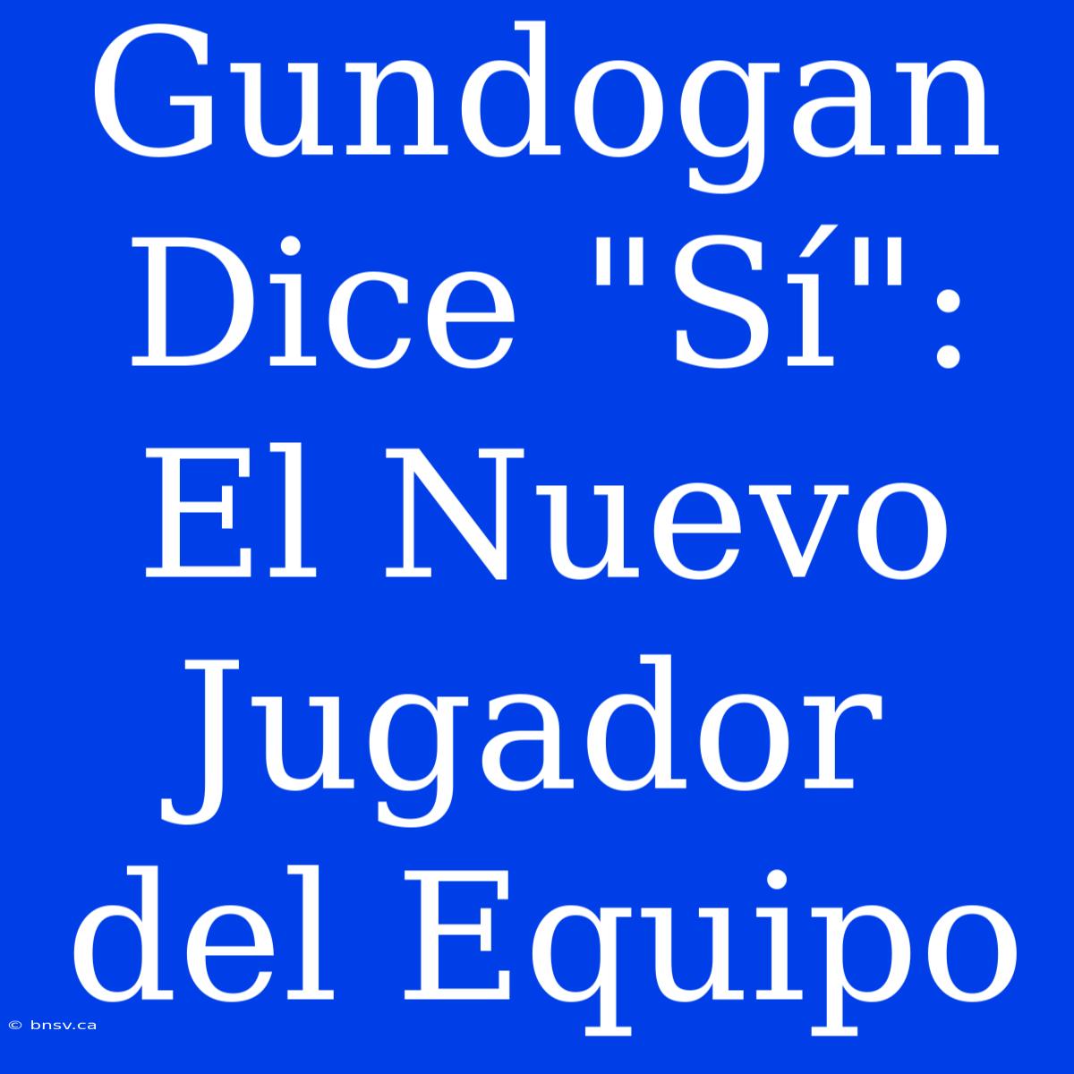 Gundogan Dice 