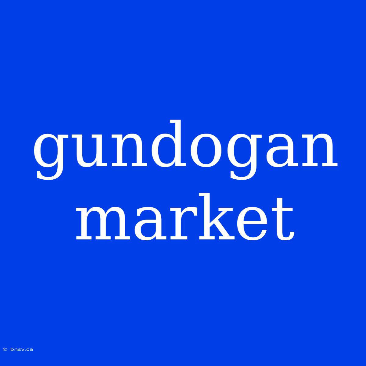 Gundogan Market