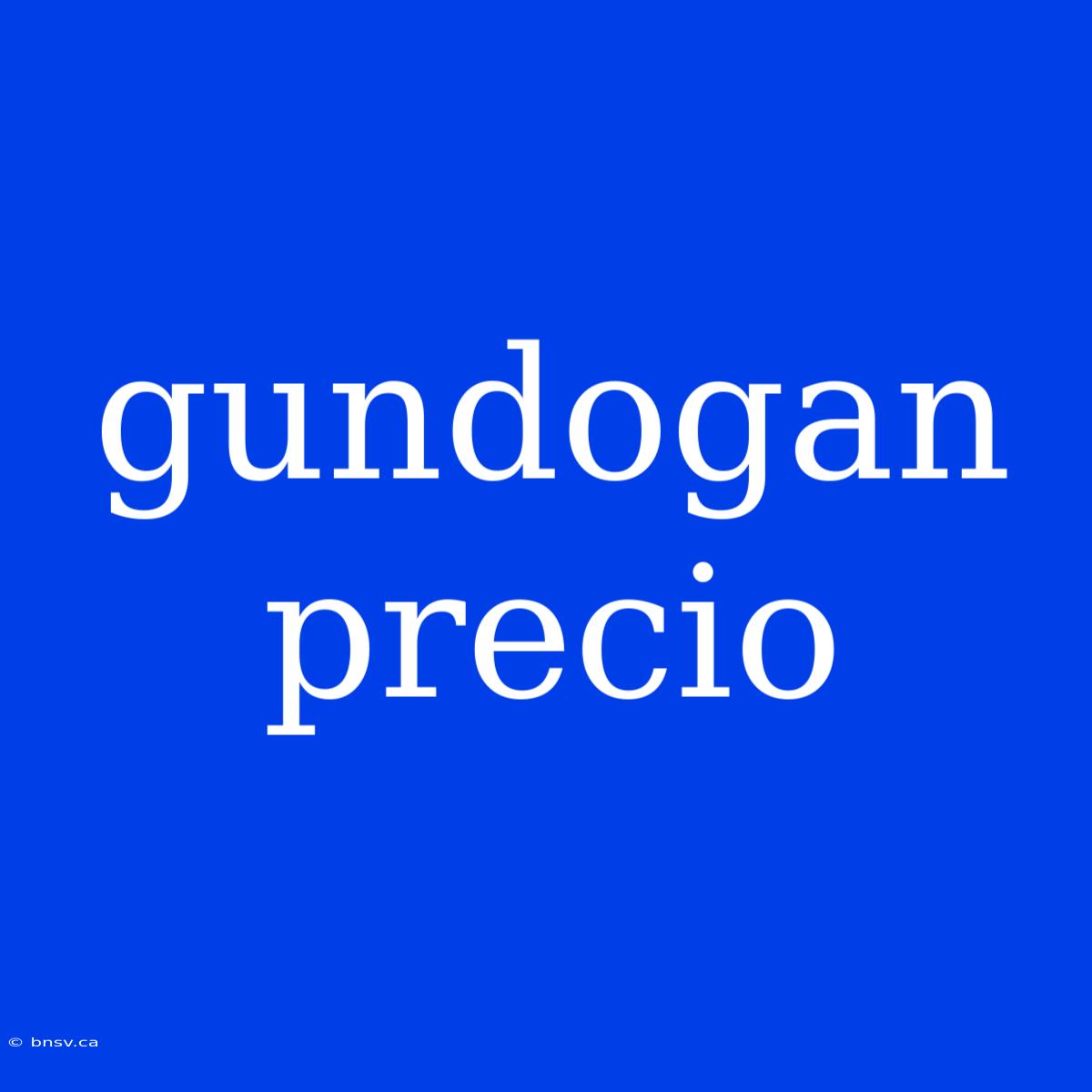 Gundogan Precio