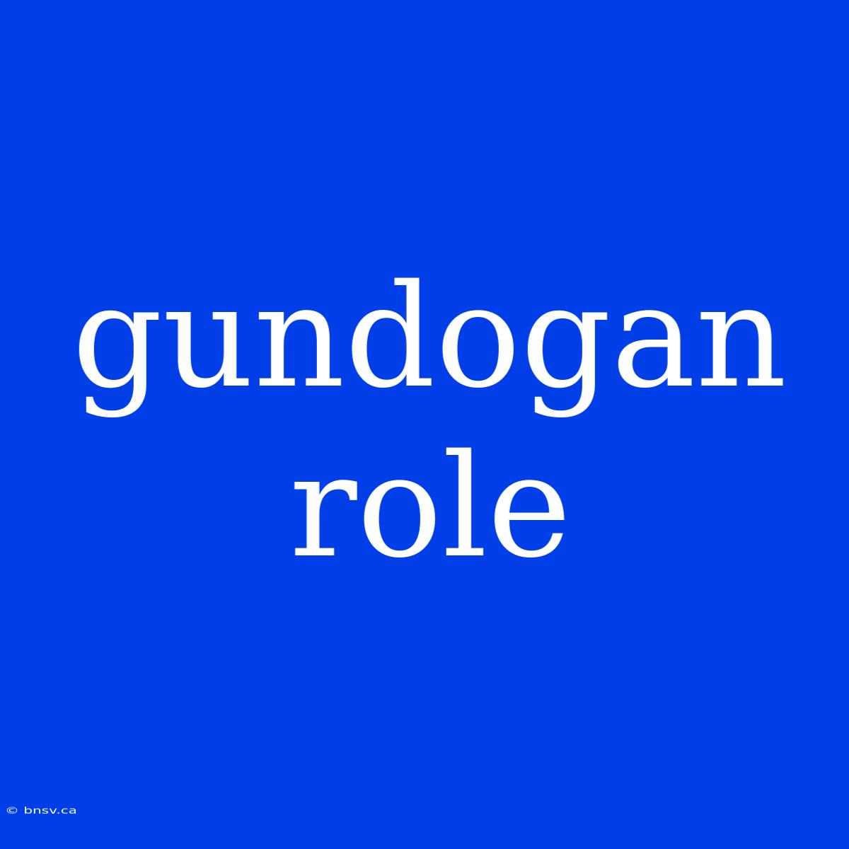 Gundogan Role