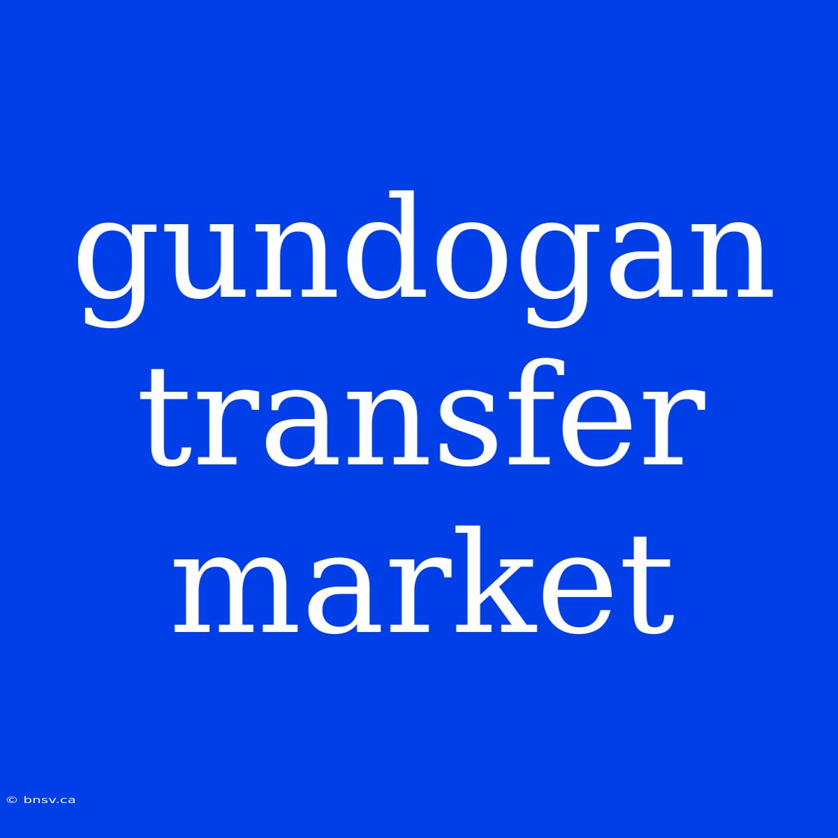 Gundogan Transfer Market