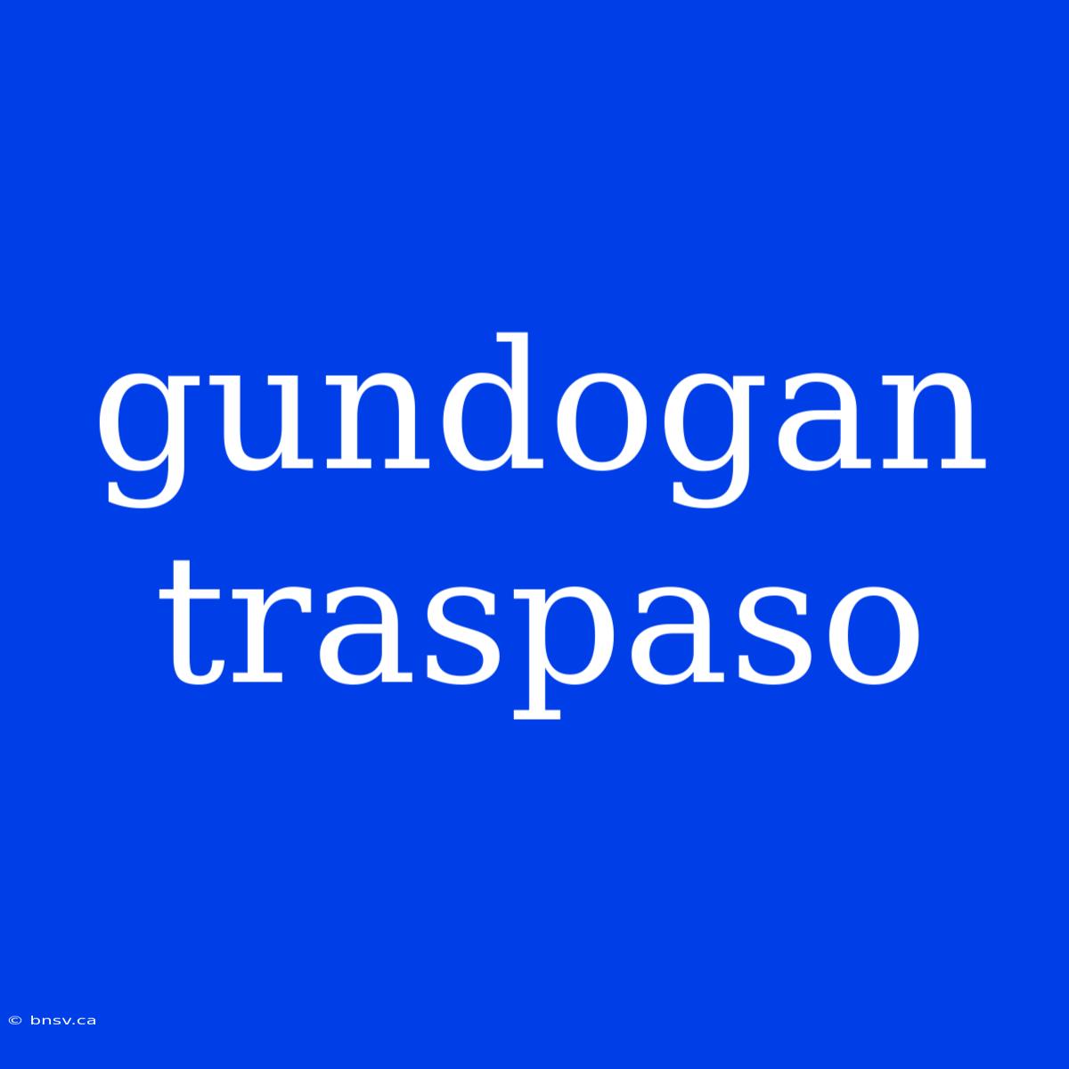 Gundogan Traspaso