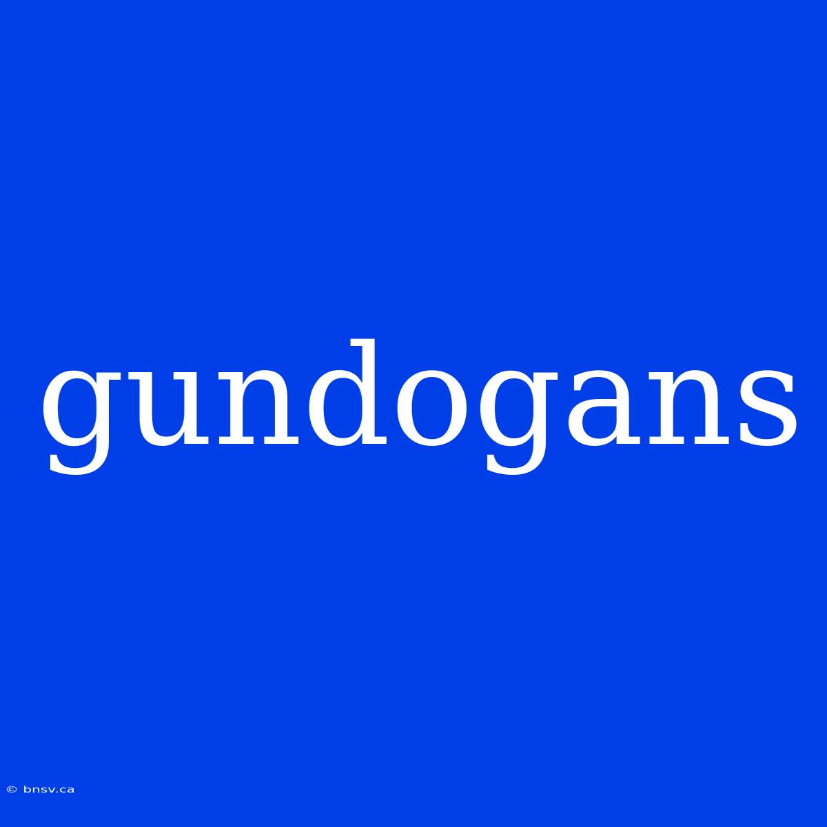 Gundogans