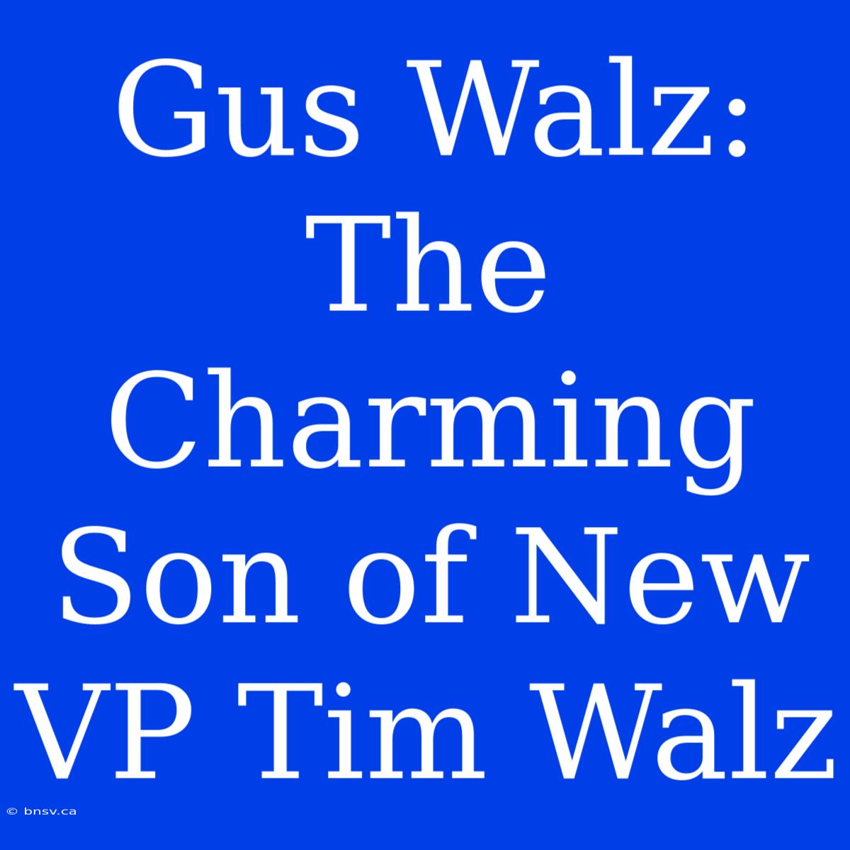 Gus Walz: The Charming Son Of New VP Tim Walz