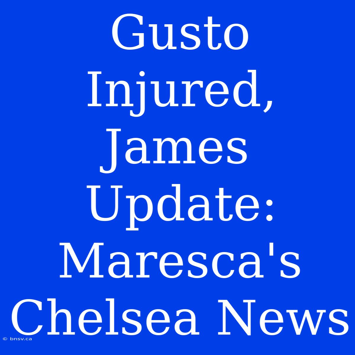 Gusto Injured, James Update: Maresca's Chelsea News