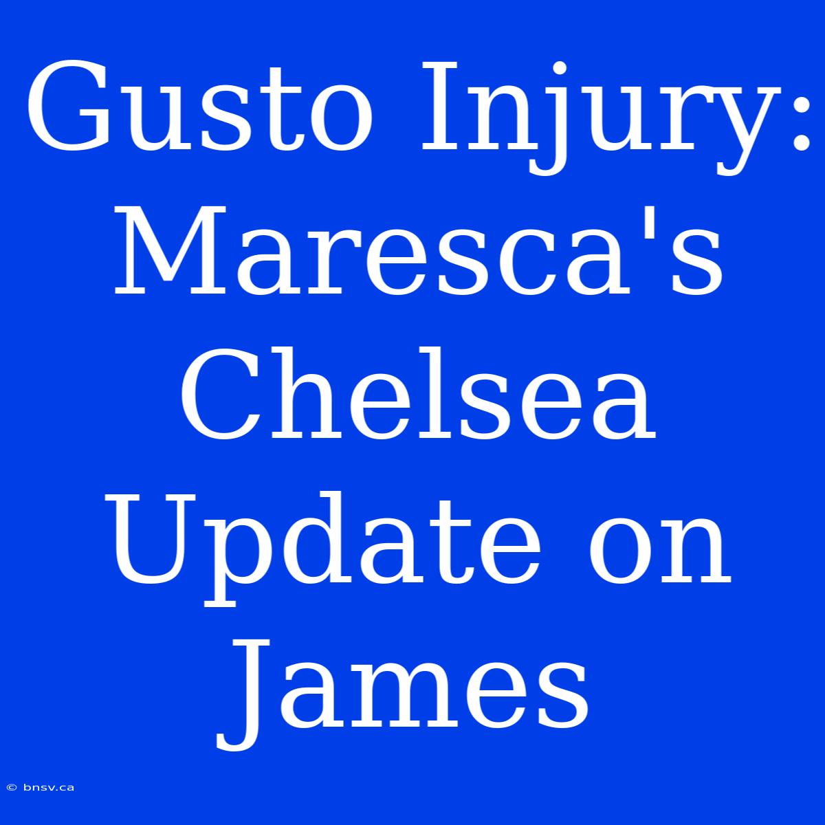 Gusto Injury: Maresca's Chelsea Update On James