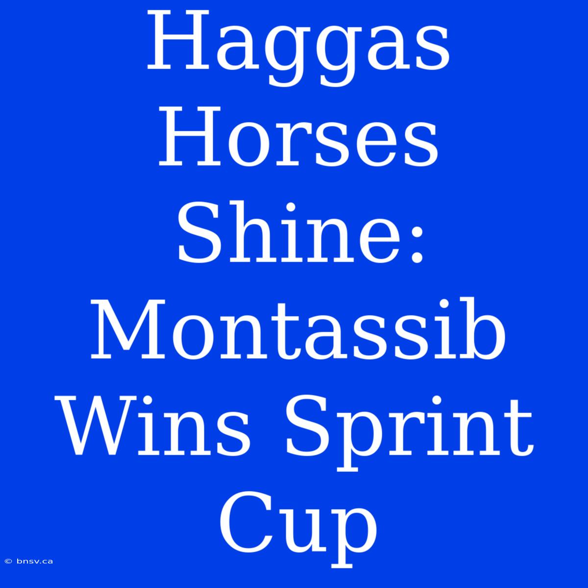 Haggas Horses Shine: Montassib Wins Sprint Cup