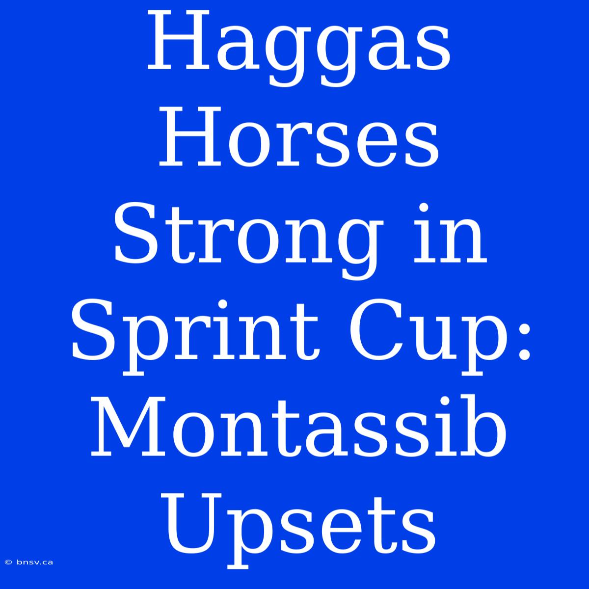 Haggas Horses Strong In Sprint Cup: Montassib Upsets