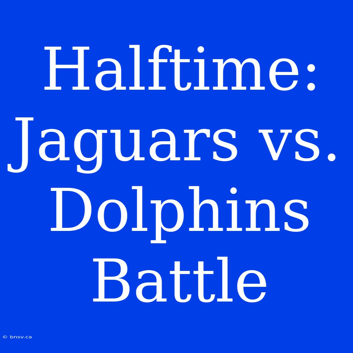 Halftime: Jaguars Vs. Dolphins Battle