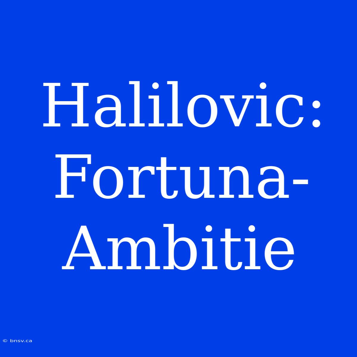 Halilovic: Fortuna-Ambitie