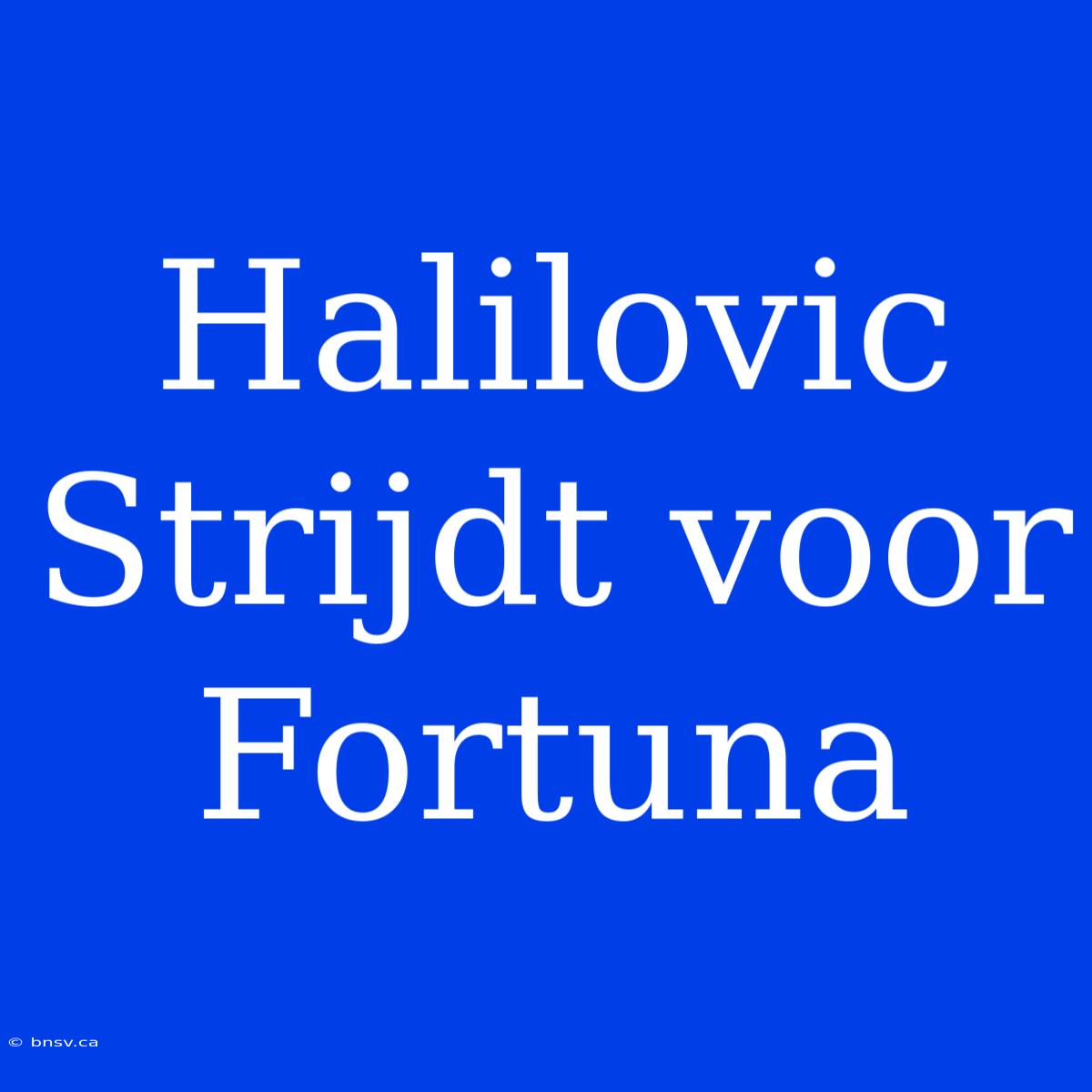 Halilovic Strijdt Voor Fortuna