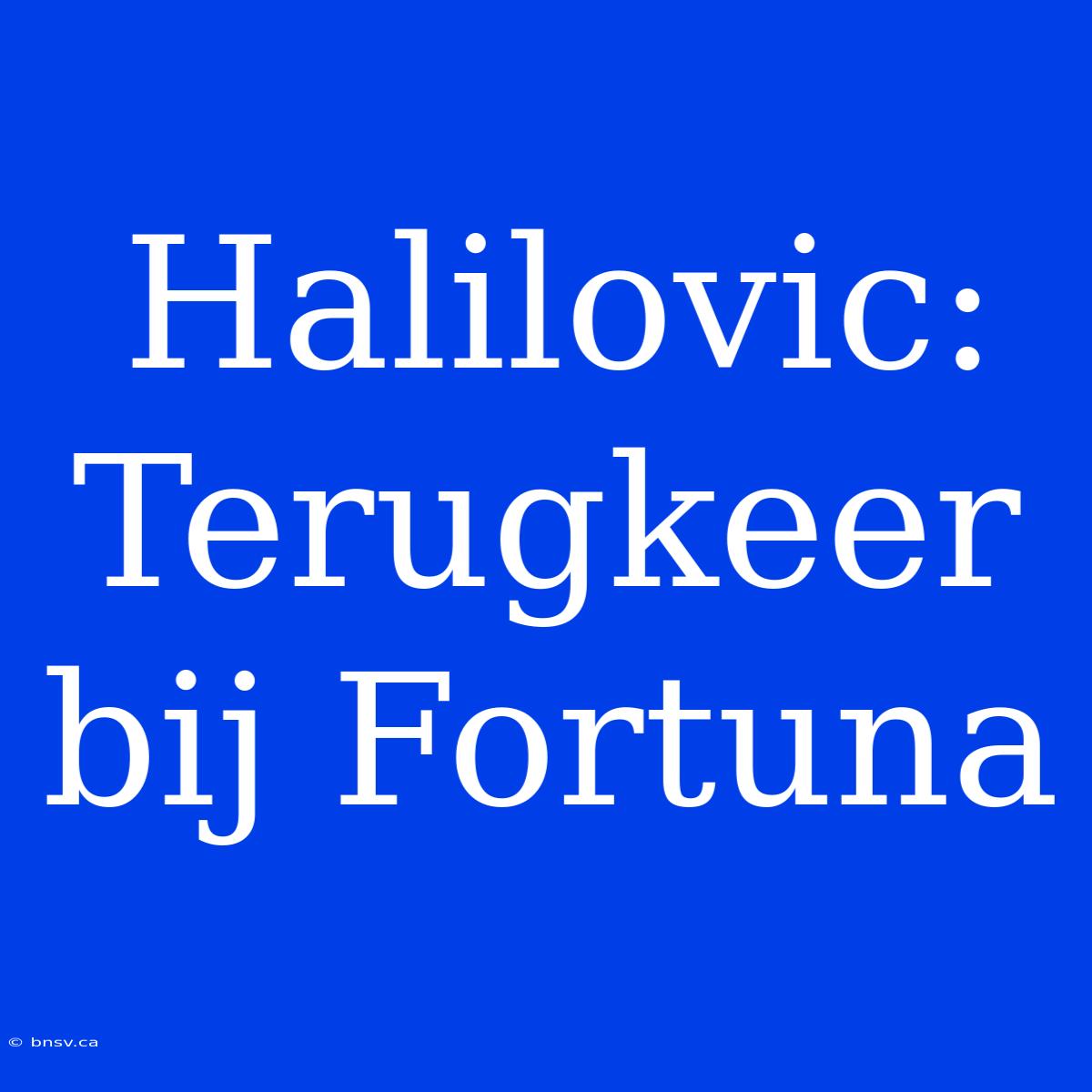 Halilovic: Terugkeer Bij Fortuna