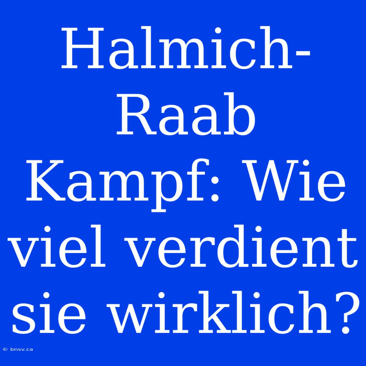 Halmich-Raab Kampf: Wie Viel Verdient Sie Wirklich?