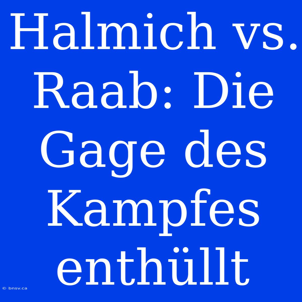 Halmich Vs. Raab: Die Gage Des Kampfes Enthüllt