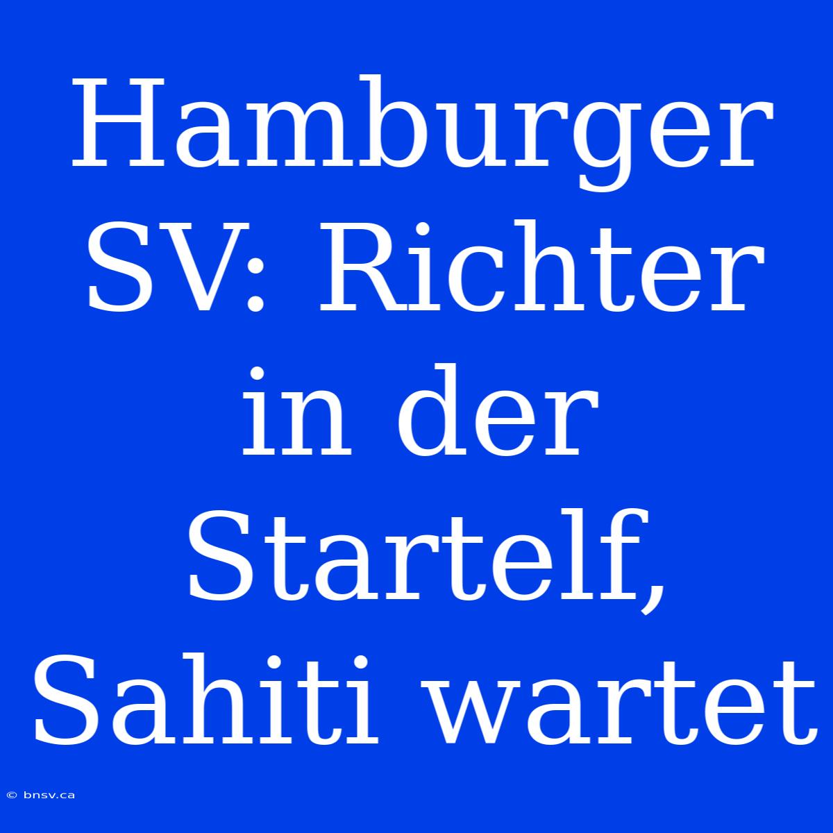 Hamburger SV: Richter In Der Startelf, Sahiti Wartet