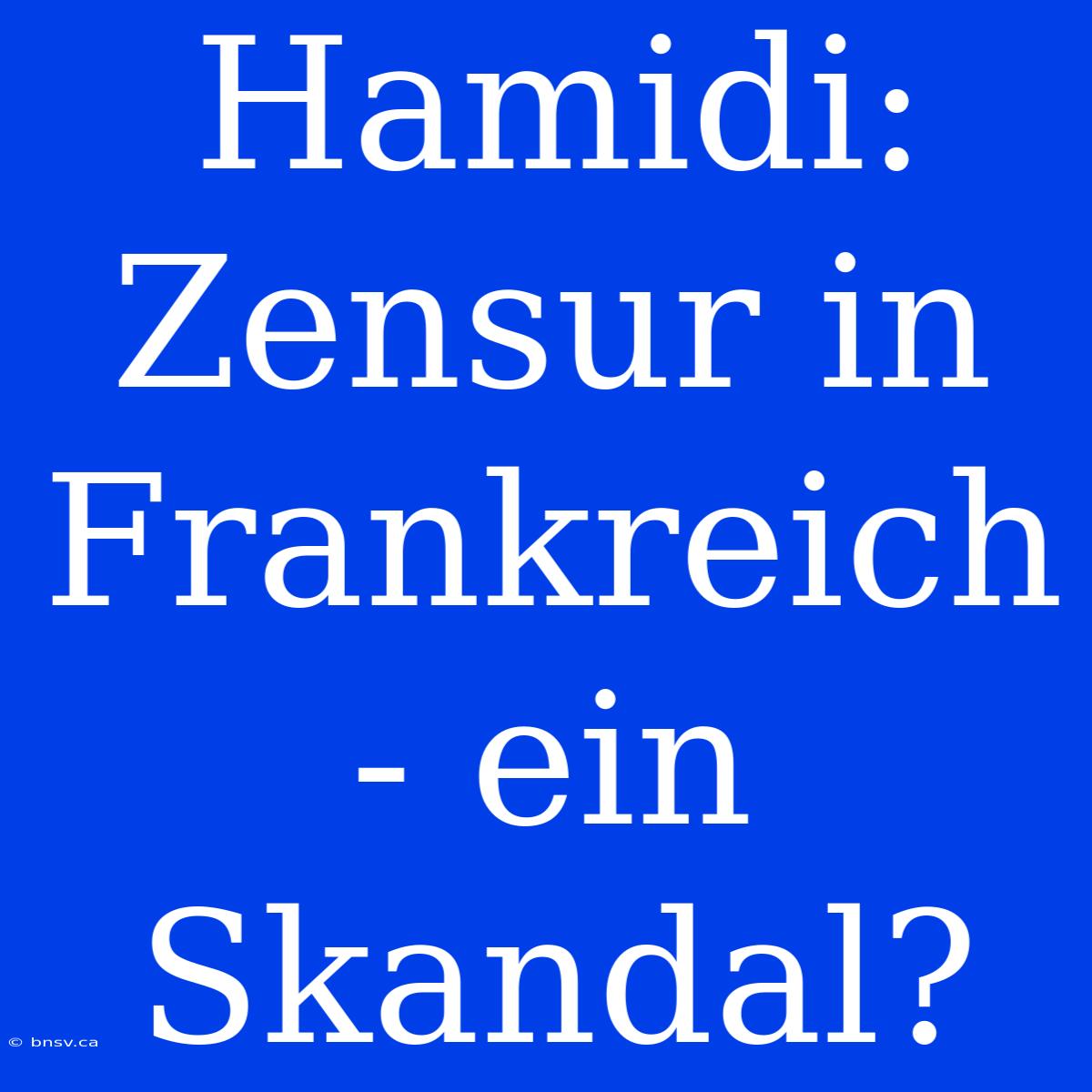 Hamidi: Zensur In Frankreich - Ein Skandal?