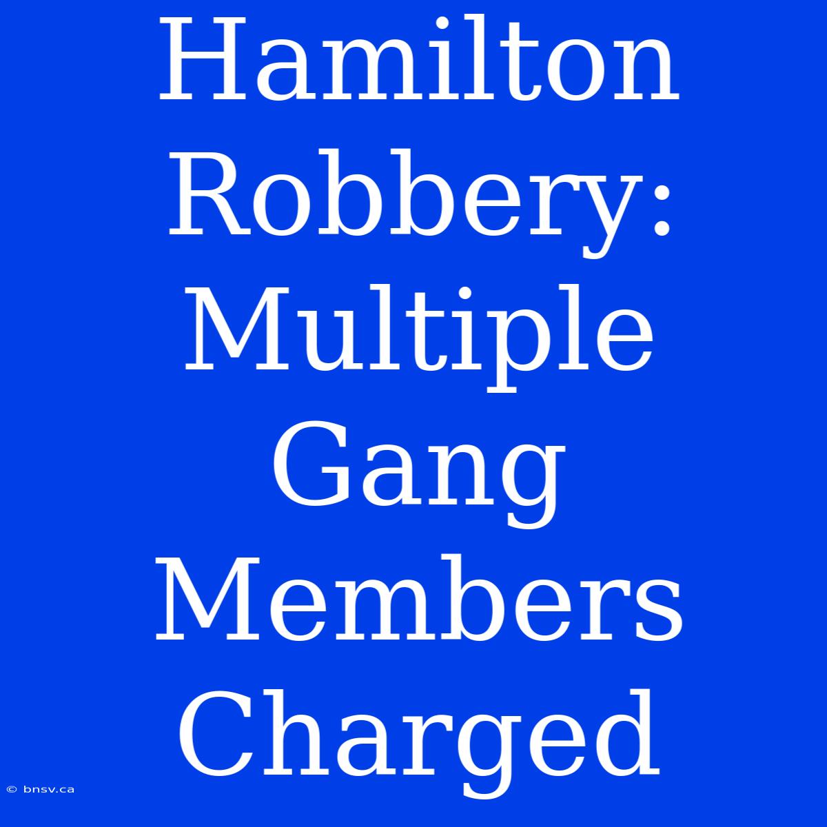 Hamilton Robbery: Multiple Gang Members Charged