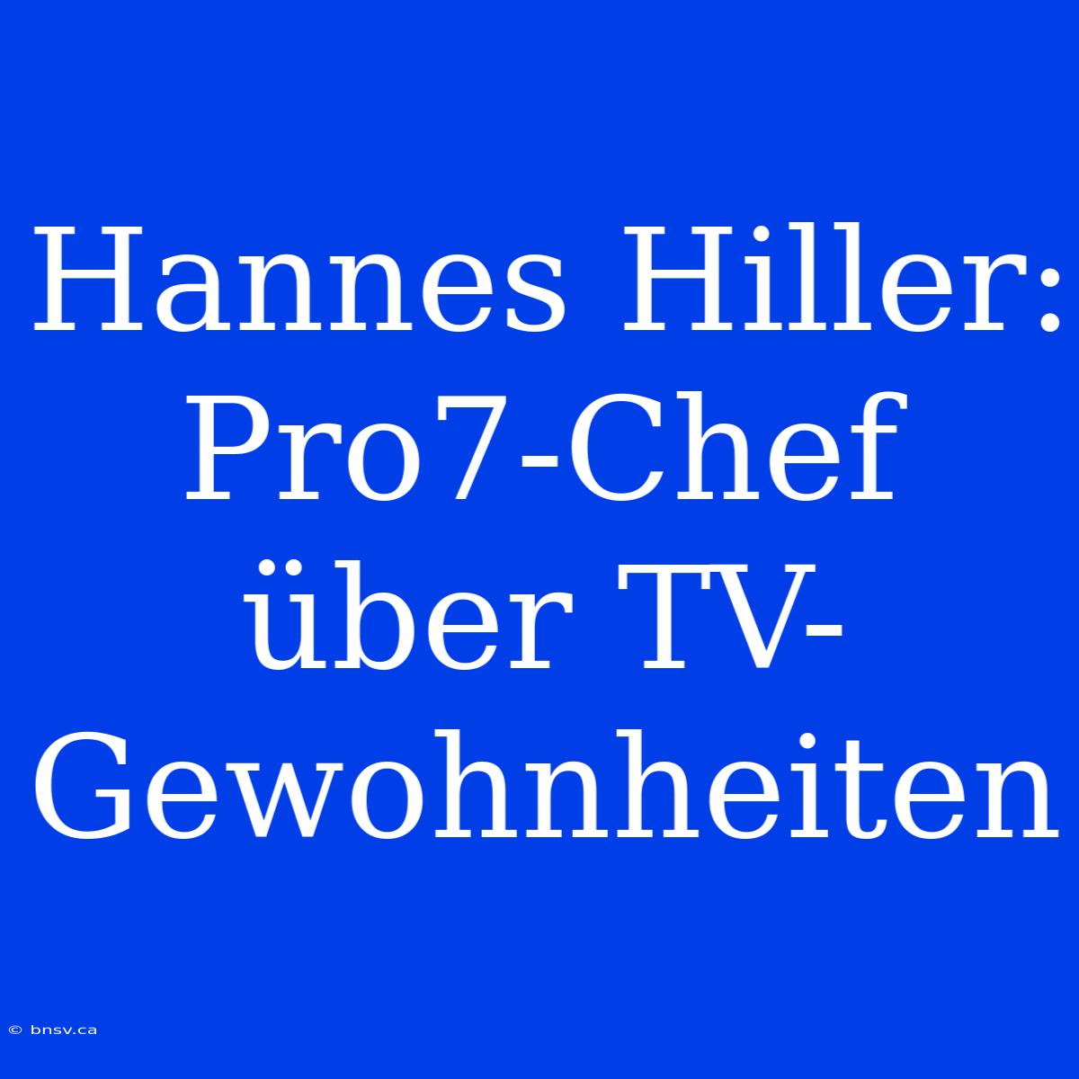 Hannes Hiller: Pro7-Chef Über TV-Gewohnheiten