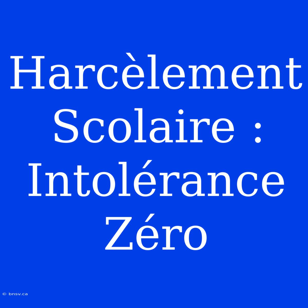 Harcèlement Scolaire : Intolérance Zéro