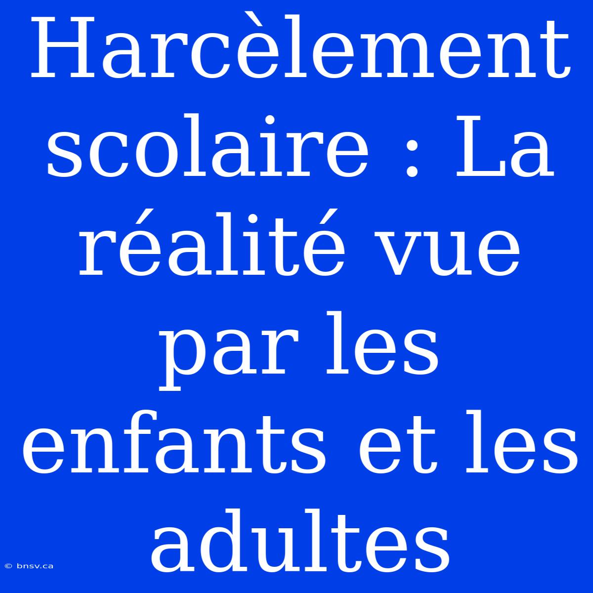 Harcèlement Scolaire : La Réalité Vue Par Les Enfants Et Les Adultes