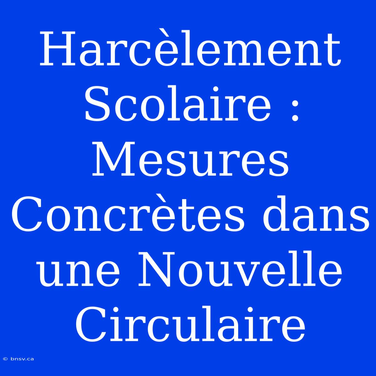 Harcèlement Scolaire : Mesures Concrètes Dans Une Nouvelle Circulaire