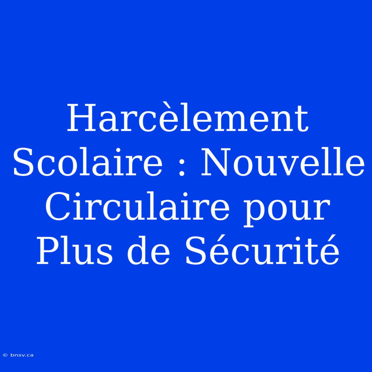 Harcèlement Scolaire : Nouvelle Circulaire Pour Plus De Sécurité