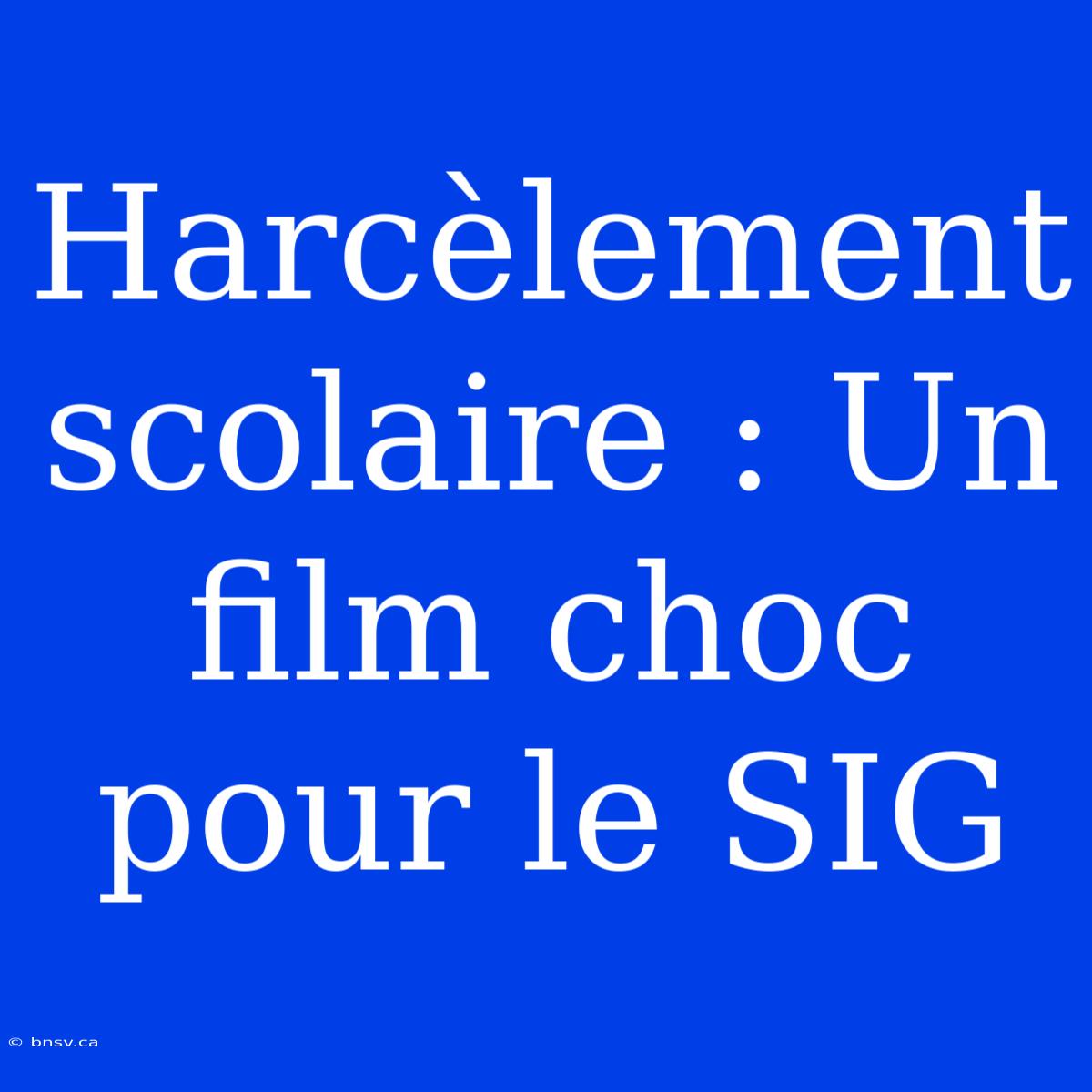 Harcèlement Scolaire : Un Film Choc Pour Le SIG