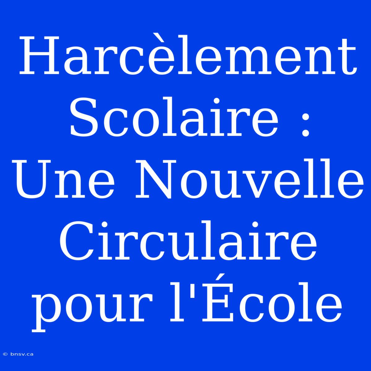 Harcèlement Scolaire : Une Nouvelle Circulaire Pour L'École