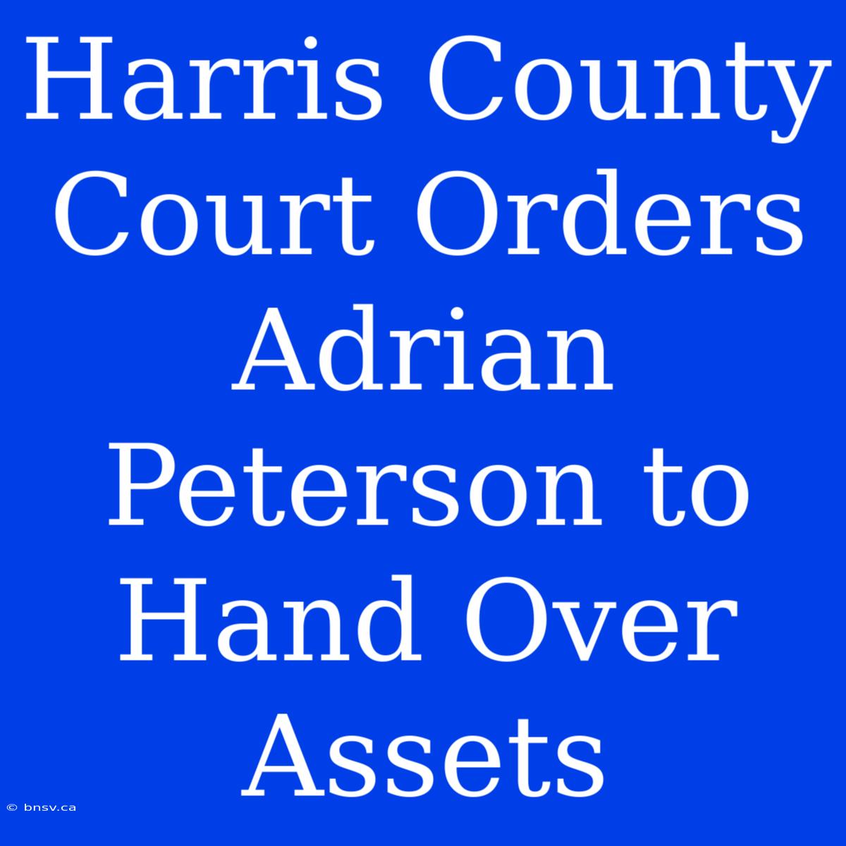 Harris County Court Orders Adrian Peterson To Hand Over Assets