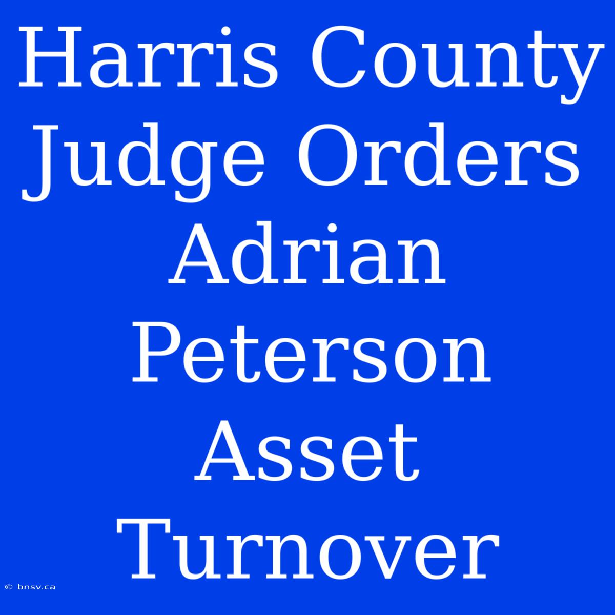 Harris County Judge Orders Adrian Peterson Asset Turnover