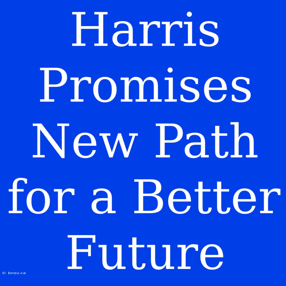 Harris Promises New Path For A Better Future