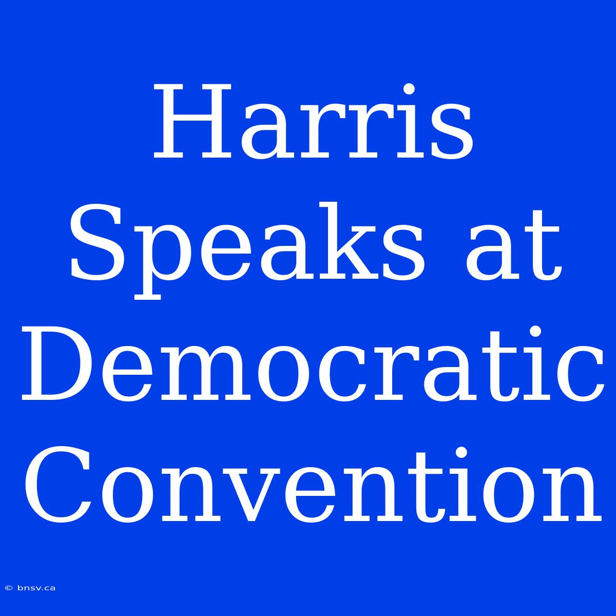 Harris Speaks At Democratic Convention