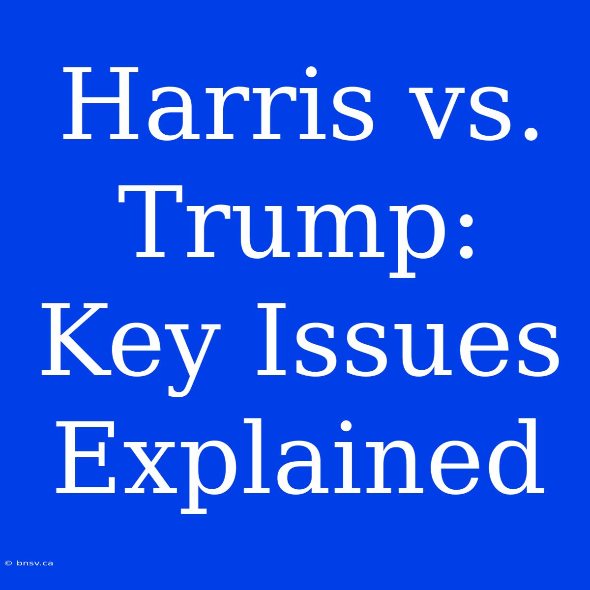 Harris Vs. Trump: Key Issues Explained