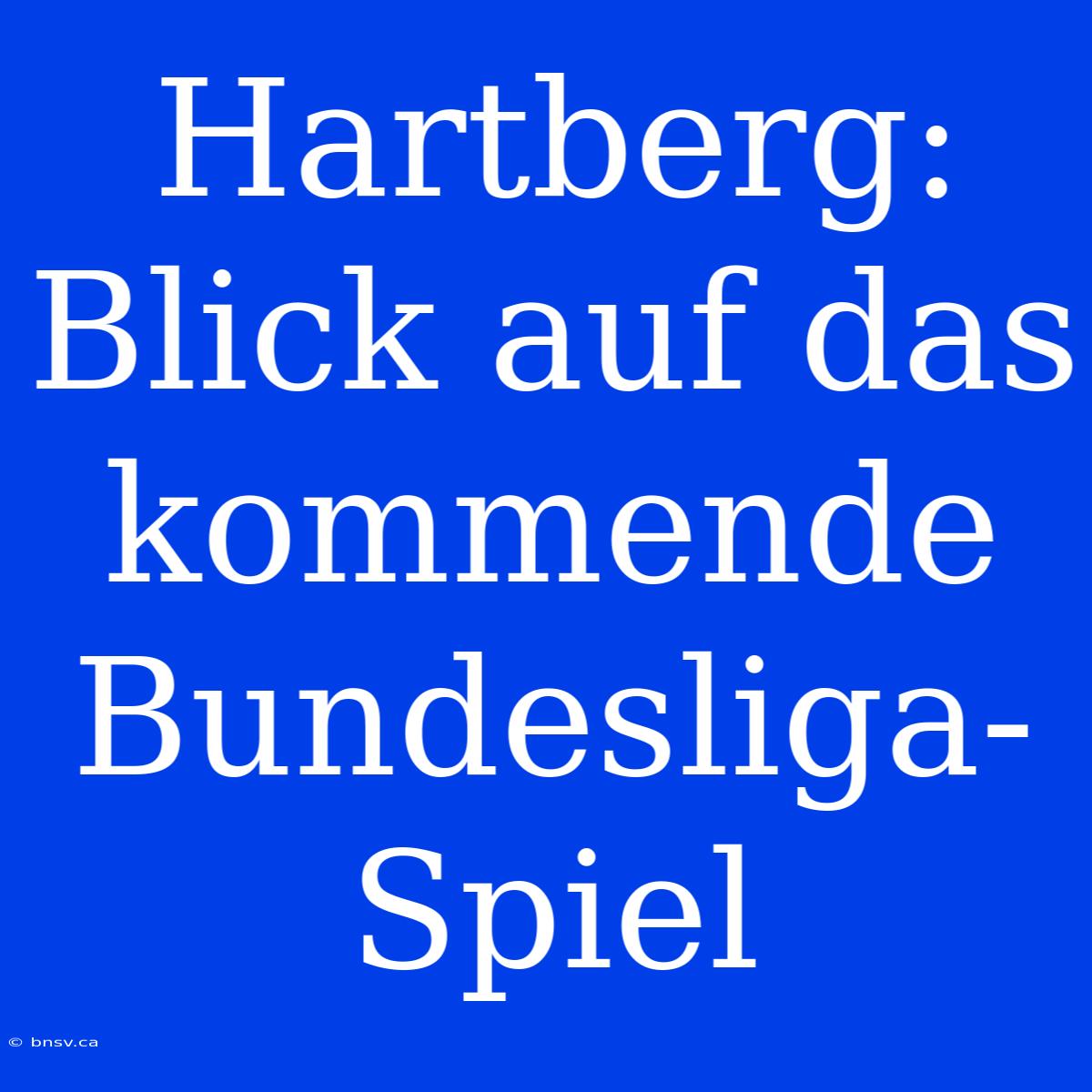 Hartberg: Blick Auf Das Kommende Bundesliga-Spiel