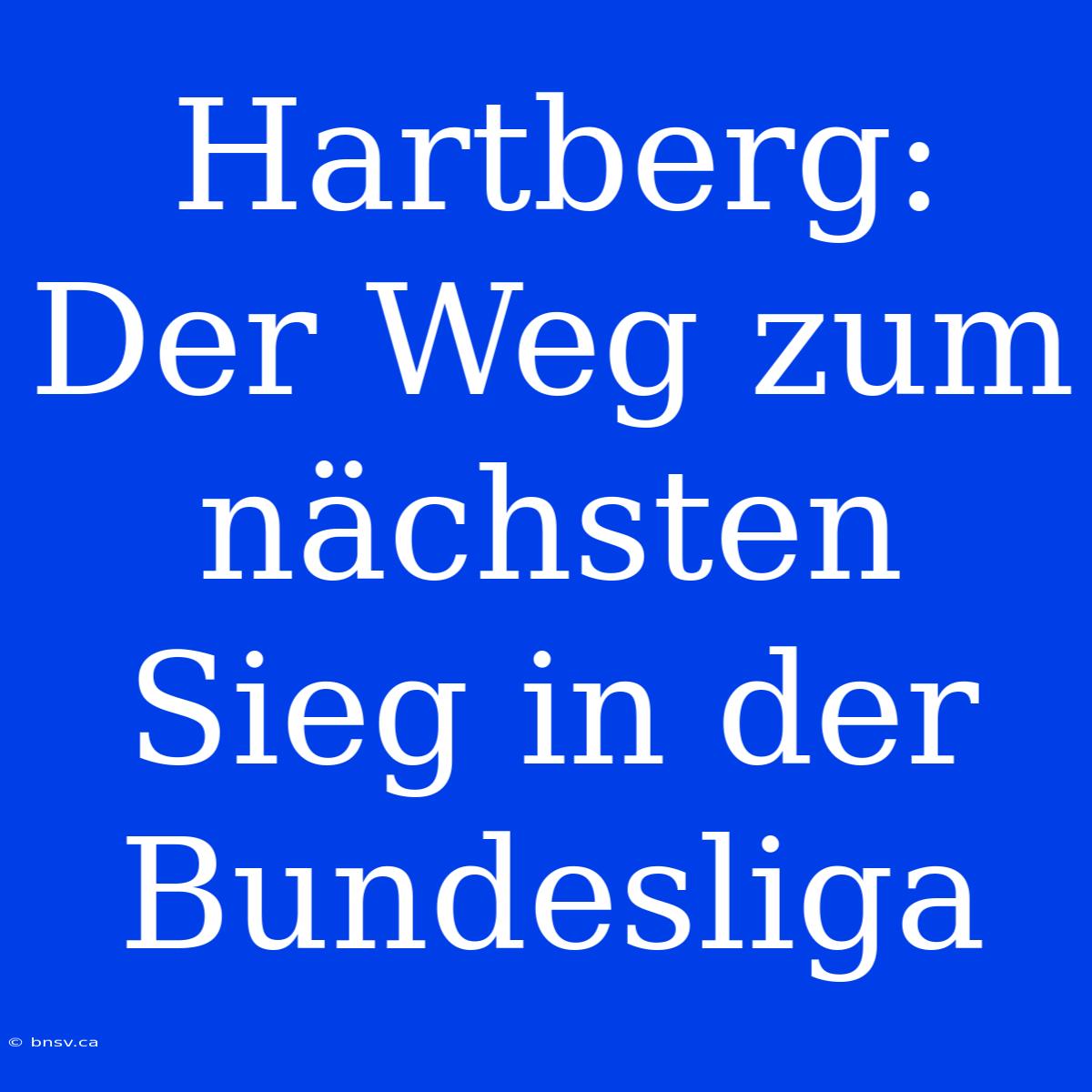 Hartberg: Der Weg Zum Nächsten Sieg In Der Bundesliga