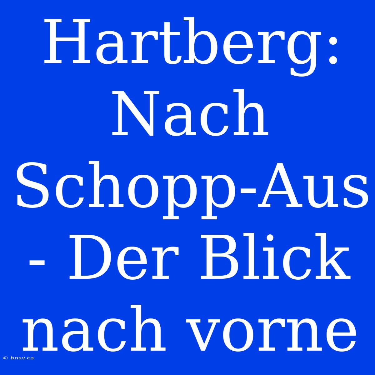 Hartberg: Nach Schopp-Aus - Der Blick Nach Vorne